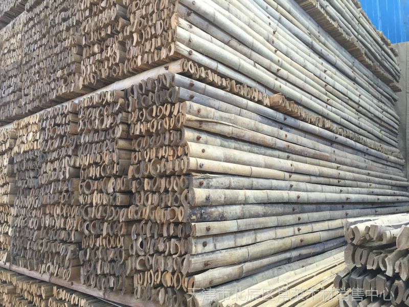 建材 设施及施工材料 其他工地施工材料 天津现货直销工程建筑竹跳板