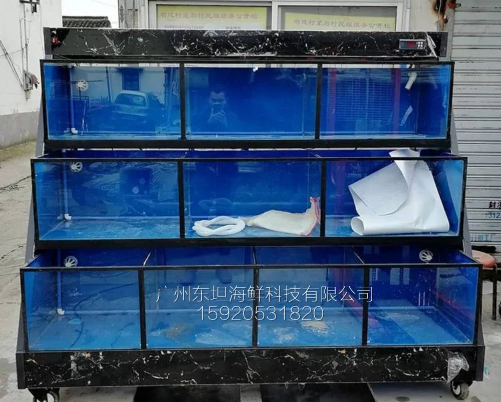 广州横沥海鲜鱼池图片-海鲜池制冷-广州超市海鲜池订做
