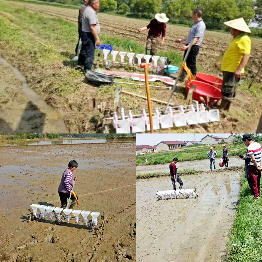 奔农牌播种神器 人力牵引农用机械 水稻点播机 杂交稻播种机