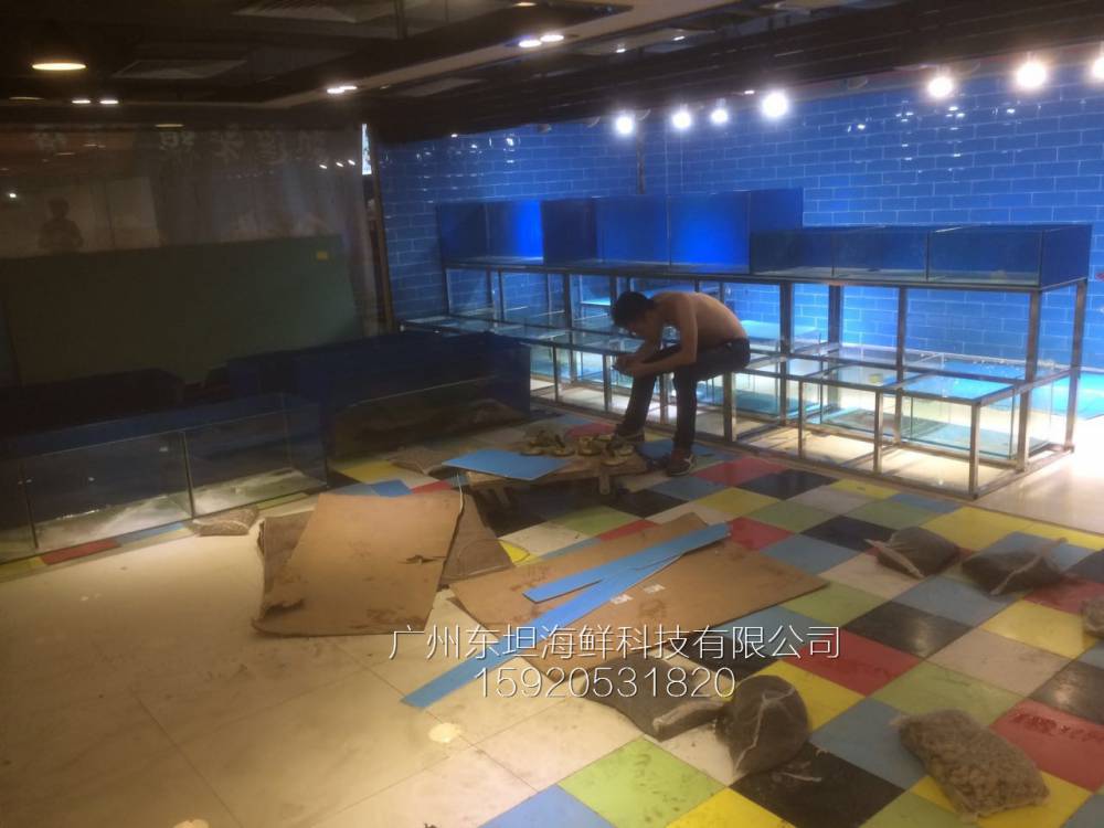 广州珠江新城海鲜池设计-pvc板制作海鲜池-广州餐厅海鲜观赏鱼池