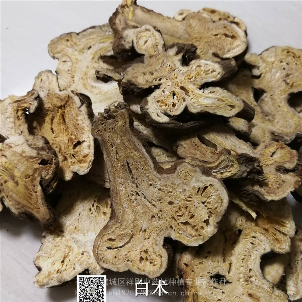 中药材麸炒白术-浙江白术的批发价格