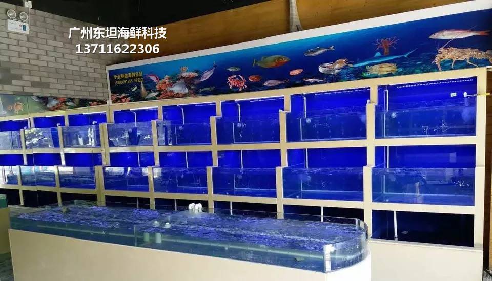 深圳订做海鲜鱼池-深圳海鲜池制冷机-深圳宝安海鲜缸