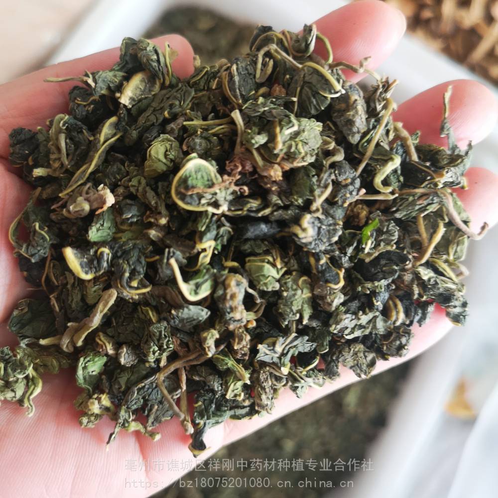 桑叶茶的价格多少钱 桑叶茶批发