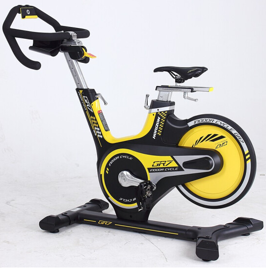 美国乔山动感单车家用静音健身车 室内自行车 运动健身器材gr7