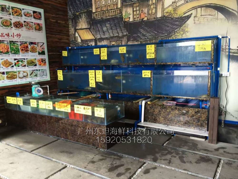 天河海鲜鱼池价格-海鲜池循环水-广州餐厅海鲜观赏鱼池