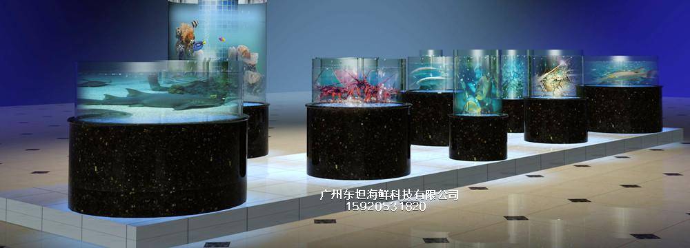 花城路海鲜池安装-海鲜缸增氧-广州大排档海鲜鱼池