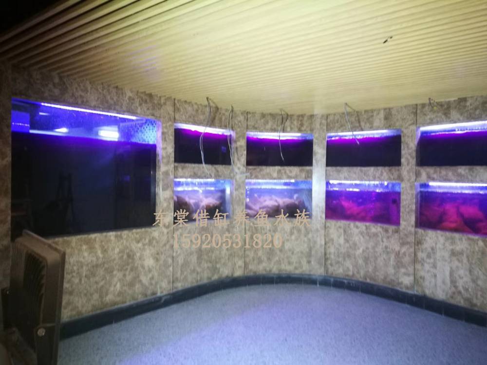 佛山同济路海鲜鱼池制作，哪里定做不锈钢海鲜池