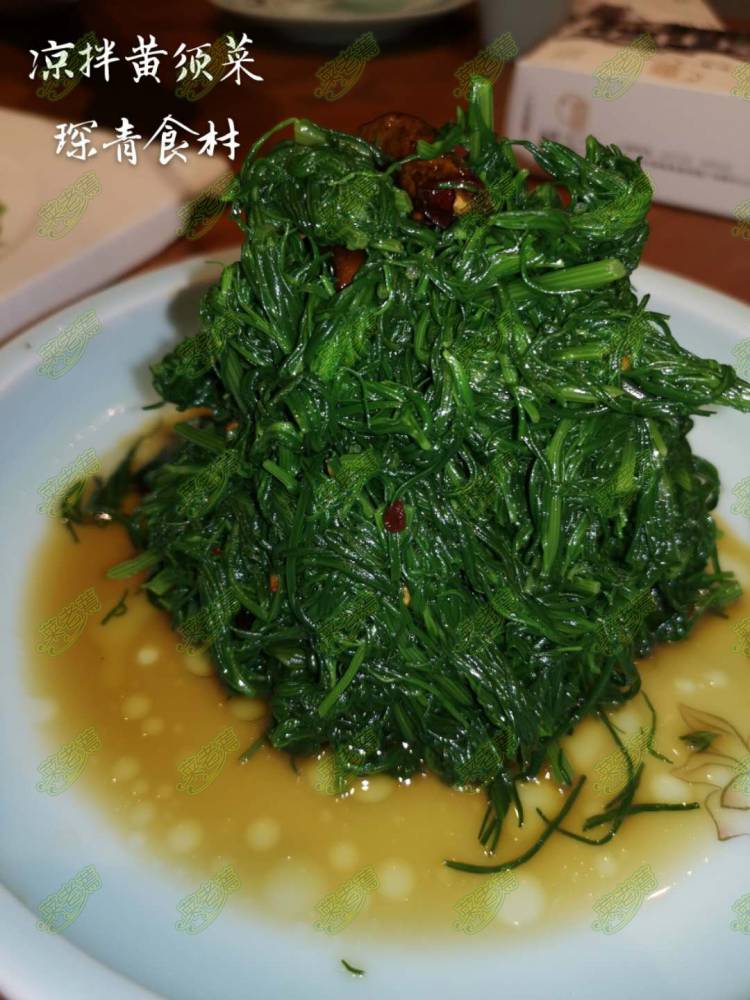 琛青宜鲜速冻黄须菜碱蓬草海英菜海滩菜,厂家直销