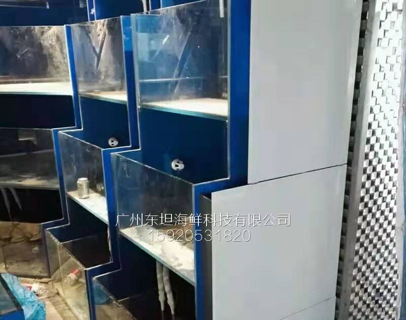 广州林和海鲜池图片-海鲜塑料池箱-广州海鲜暂养池观光池
