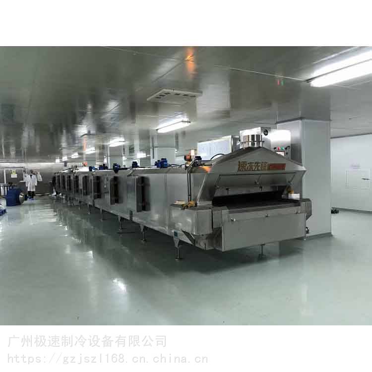 广州 定制液氮速冻机 高效网带速液氮速冻机 大型商用液氮速冻机 较速制冷