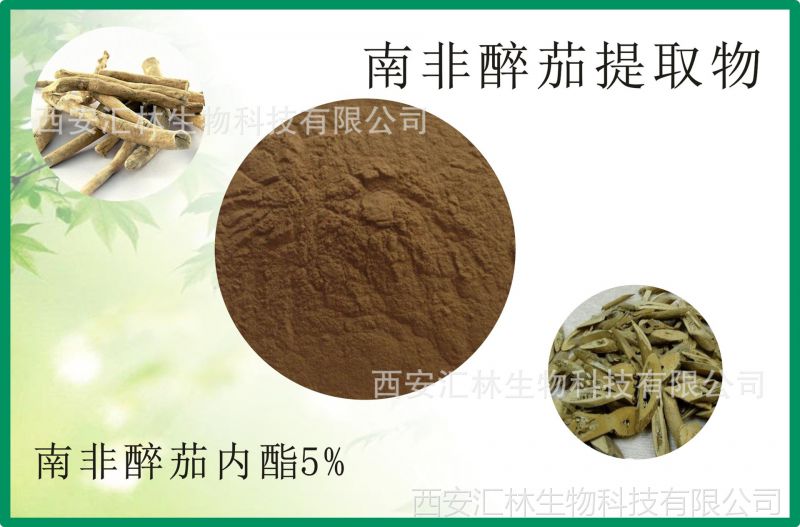 厂家直销 南非醉茄提取物 南非醉茄内酯5% 质量保证现货供应