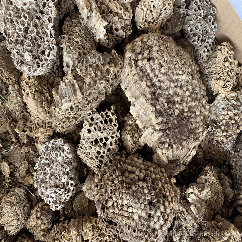 中药材蜂房的药用价值 马蜂窝用法用量 蜂巢价格多少
