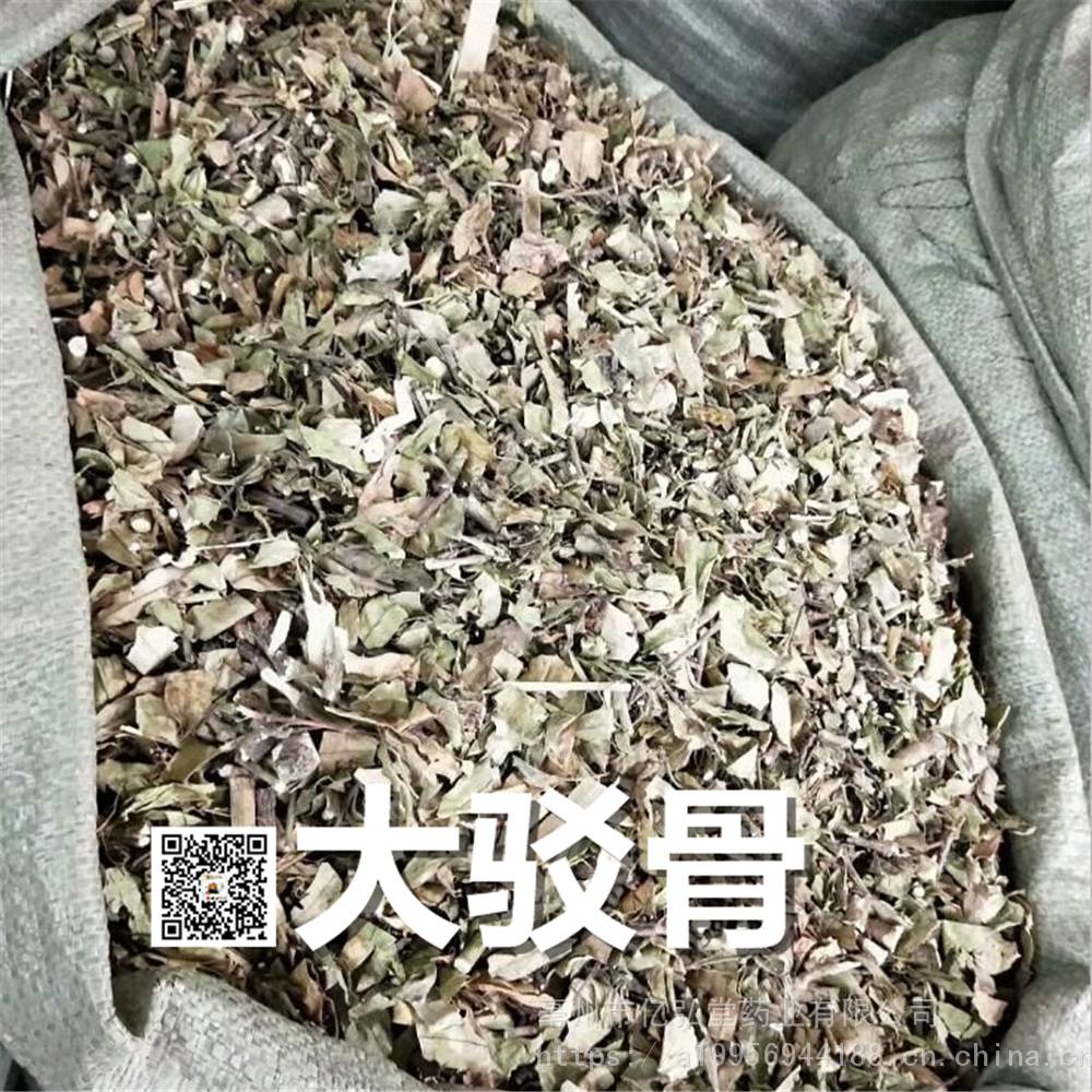 中药材大驳骨图片黑叶爵床功能主治大接骨药用价值