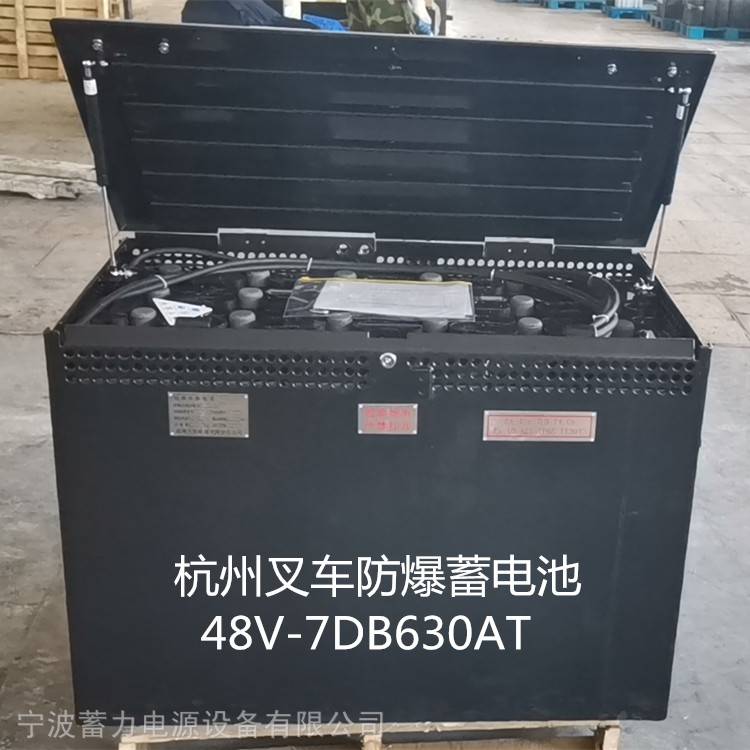 防爆叉车蓄电池杭叉48v-7db630at-林德5pzs700ah军用搬运车辆叉车电池