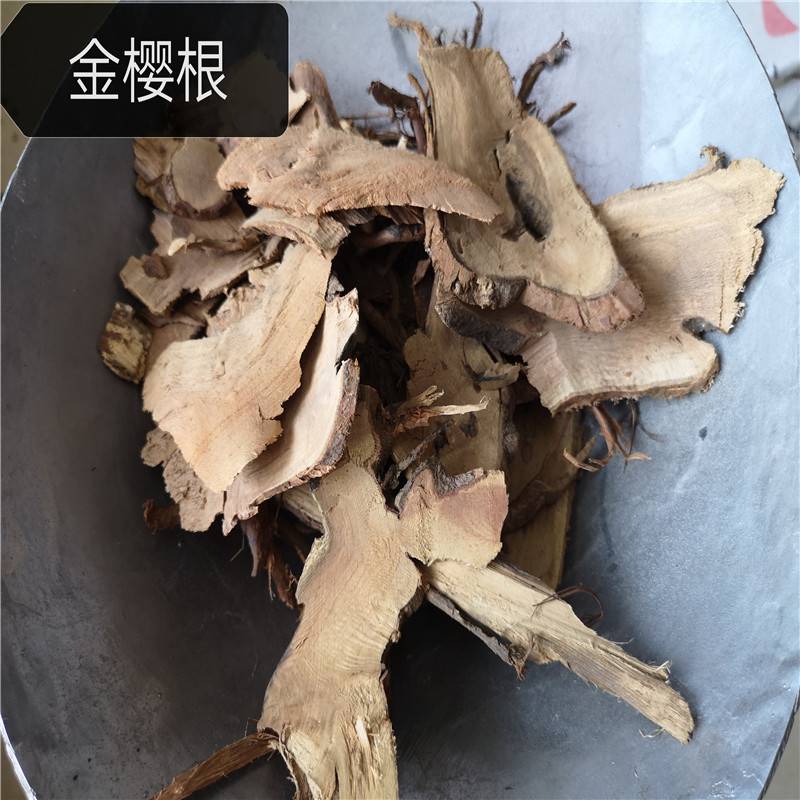 拼音jīn yīnɡ gēn 英文名root of cherokee rose 别名金樱蔃,脱