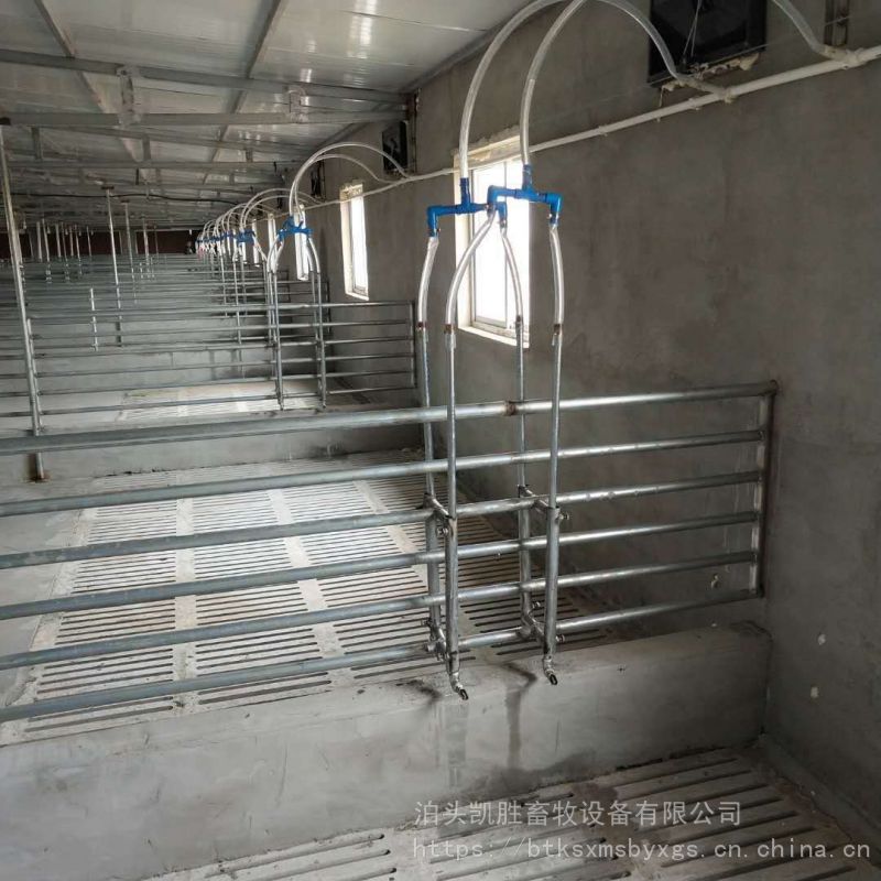 现货供应 养猪用设备 自动化料线设备 猪舍喂料线