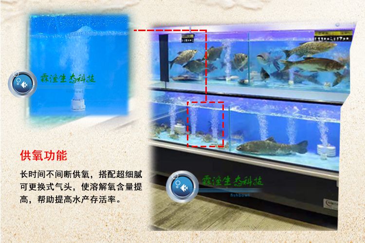 海鲜池水产暂养池两层鱼缸水循环生态养殖池可移动式生鲜池可定制