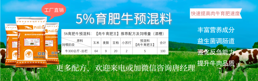 成功养牛必看牛饲料配方表自制牛饲料配方大全肉牛的饲料配比怎么配