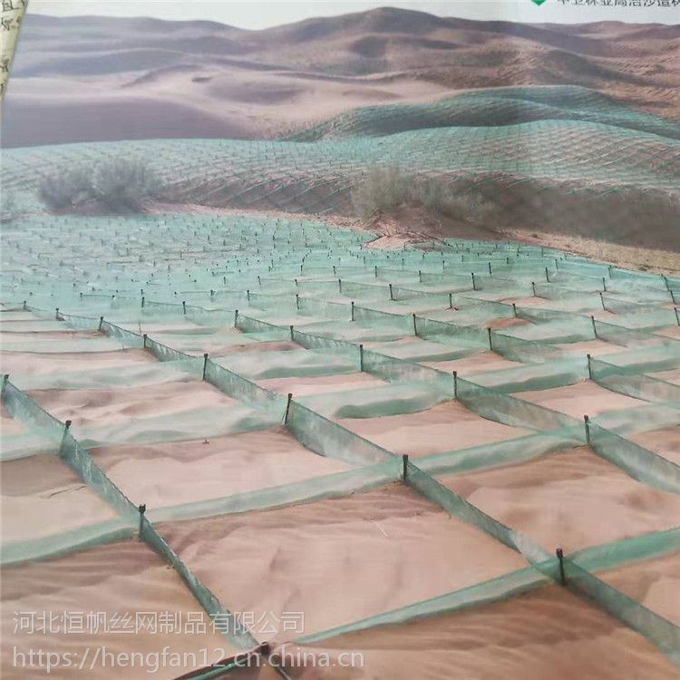 腾格里沙漠防风固沙网,防风沙障价格,防风阻沙网沙障厂家