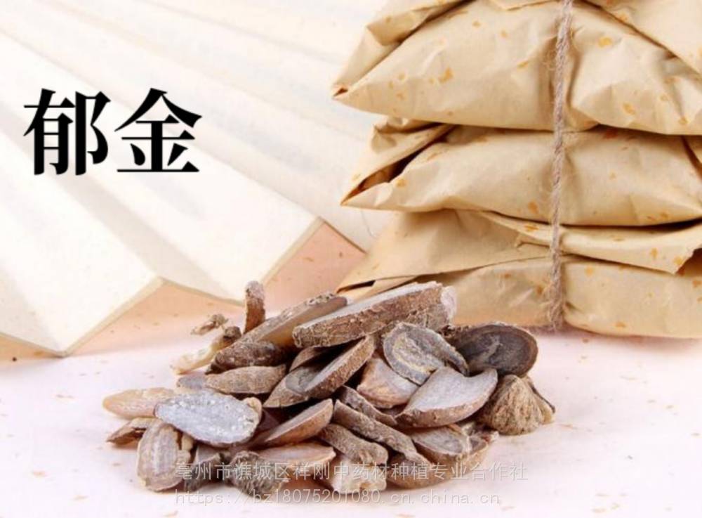 郁金购买 玉金,白丝郁金产地一手货源批发