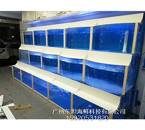 花都梯面海鲜池定做-海鲜池制冷-广州生猛海鲜鱼池