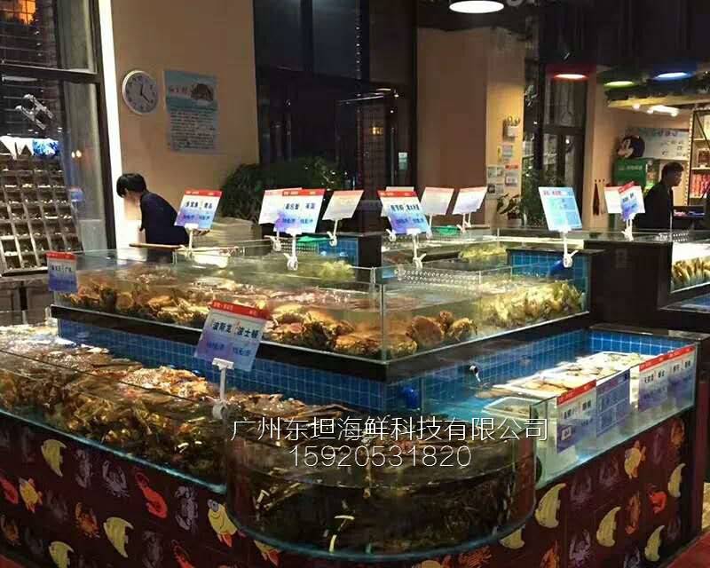 天河龙口海鲜池配件-土建海鲜池-广州餐厅海鲜观赏鱼池