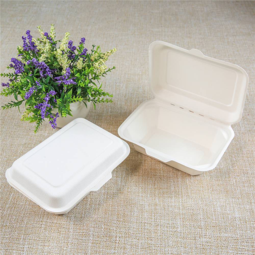 【广东绿洲 食品包装盒 一次性纸盒 快餐盒 便当盒 外卖打包盒 纸打包