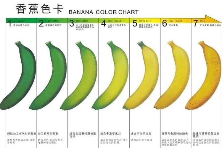京铁jtdt-1906 乙烯发生器 香蕉催熟机 芒果催熟机