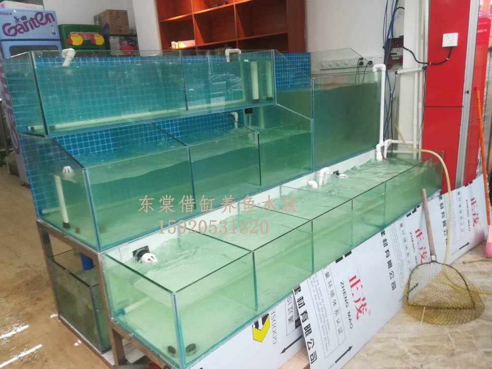 佛山张槎海鲜池定制，哪里定做饭店海鲜池