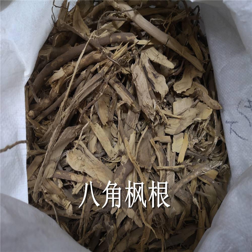 八角枫根 白龙须价格/白筋条批发