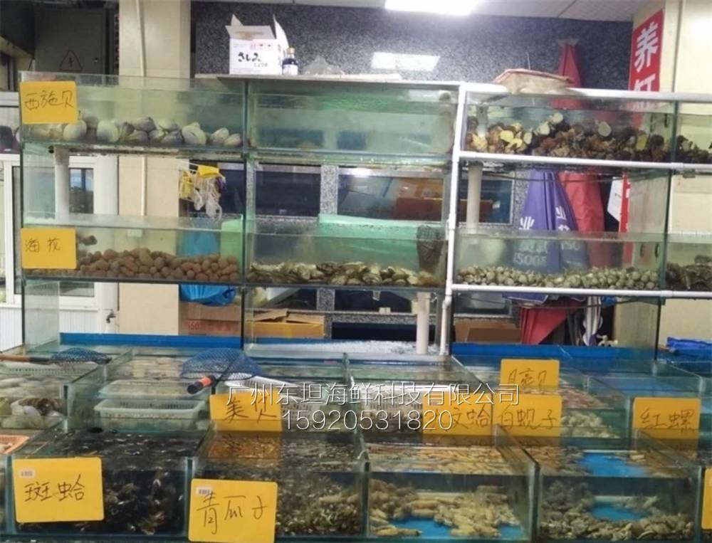 ***海鲜池制冷机-广东海鲜池定做公司-广州可移动海鲜