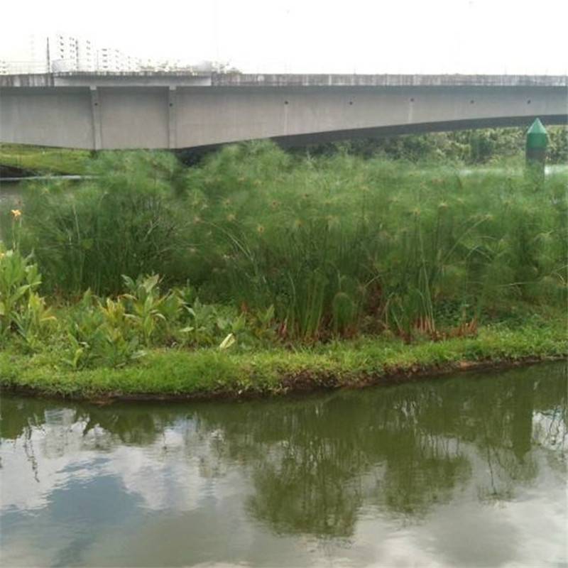 高分子复合纤维浮动湿地 浮动生态滤床 漂浮湿地 浮动生态湿地 浮田