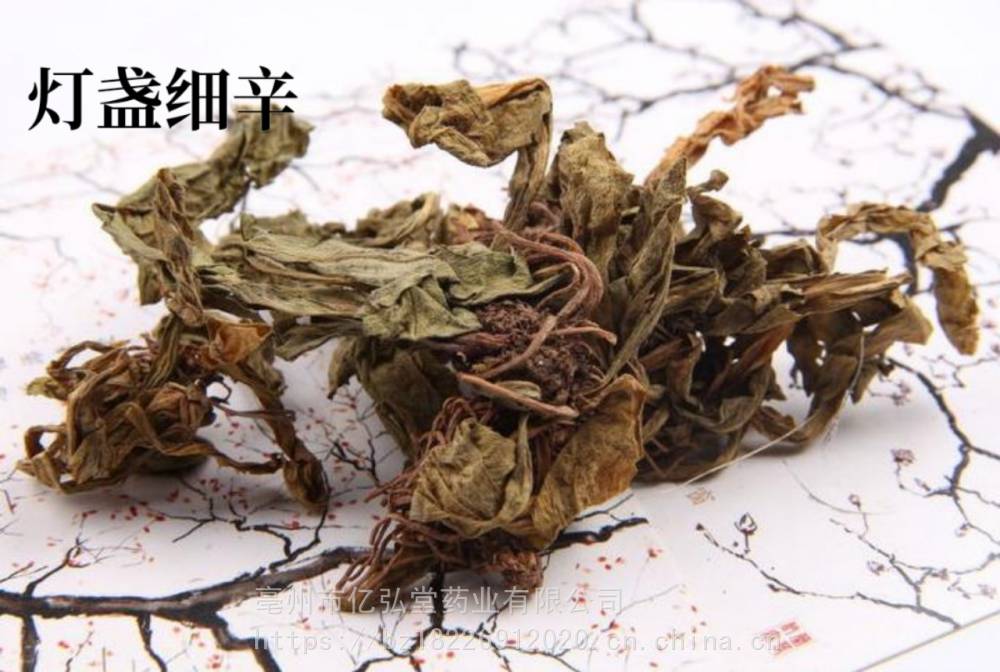 灯盏细辛供不应求 拼音dēnɡ zhǎn xì xīn 别名灯盏花,短茎飞蓬