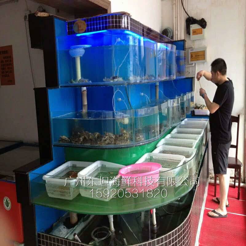 沙贝海鲜池设备-海鲜池一体机-广州大排档海鲜鱼池