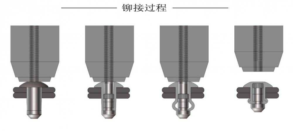 【海马型抽芯铆钉】批发定制钢结构型海马铆钉供应