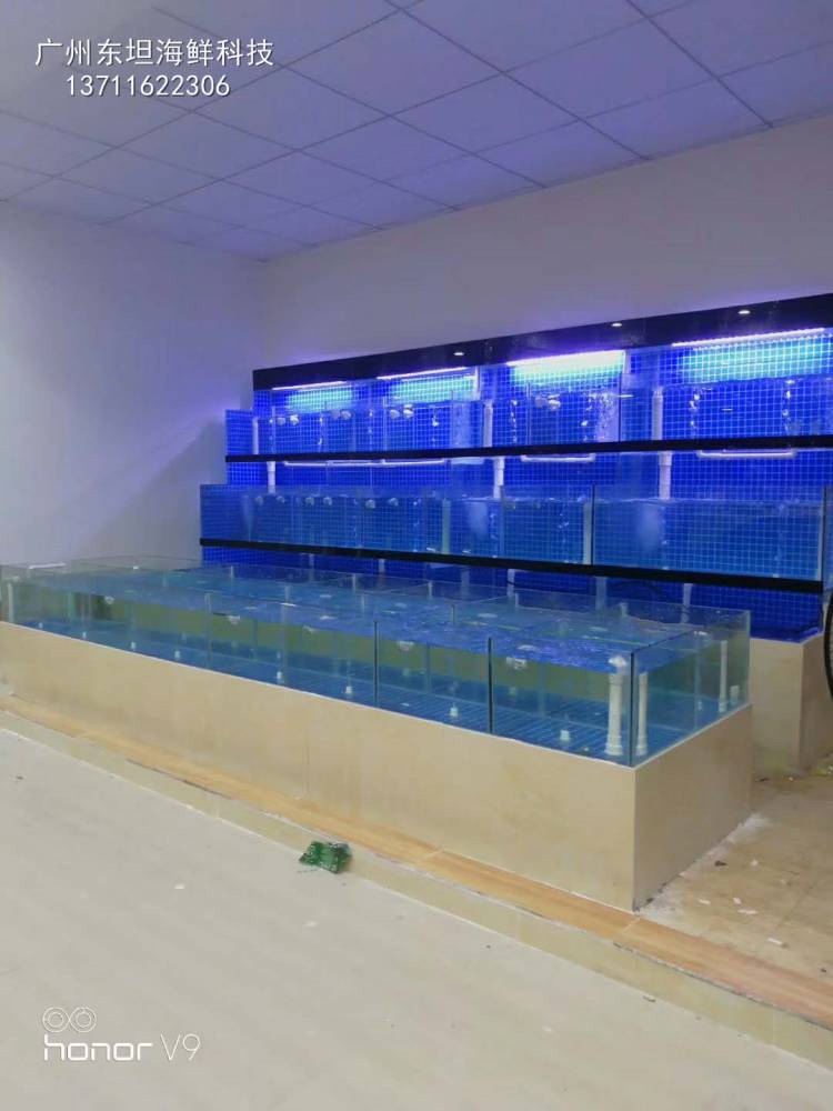 深圳订做海鲜鱼池-深圳玻璃鱼池设计-深圳海鲜池鱼缸