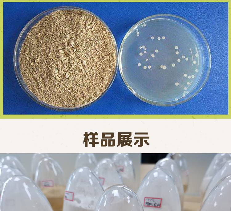 益昊生物 枯草芽孢杆菌 水产微生态 净水调水 厂家直销量大优惠