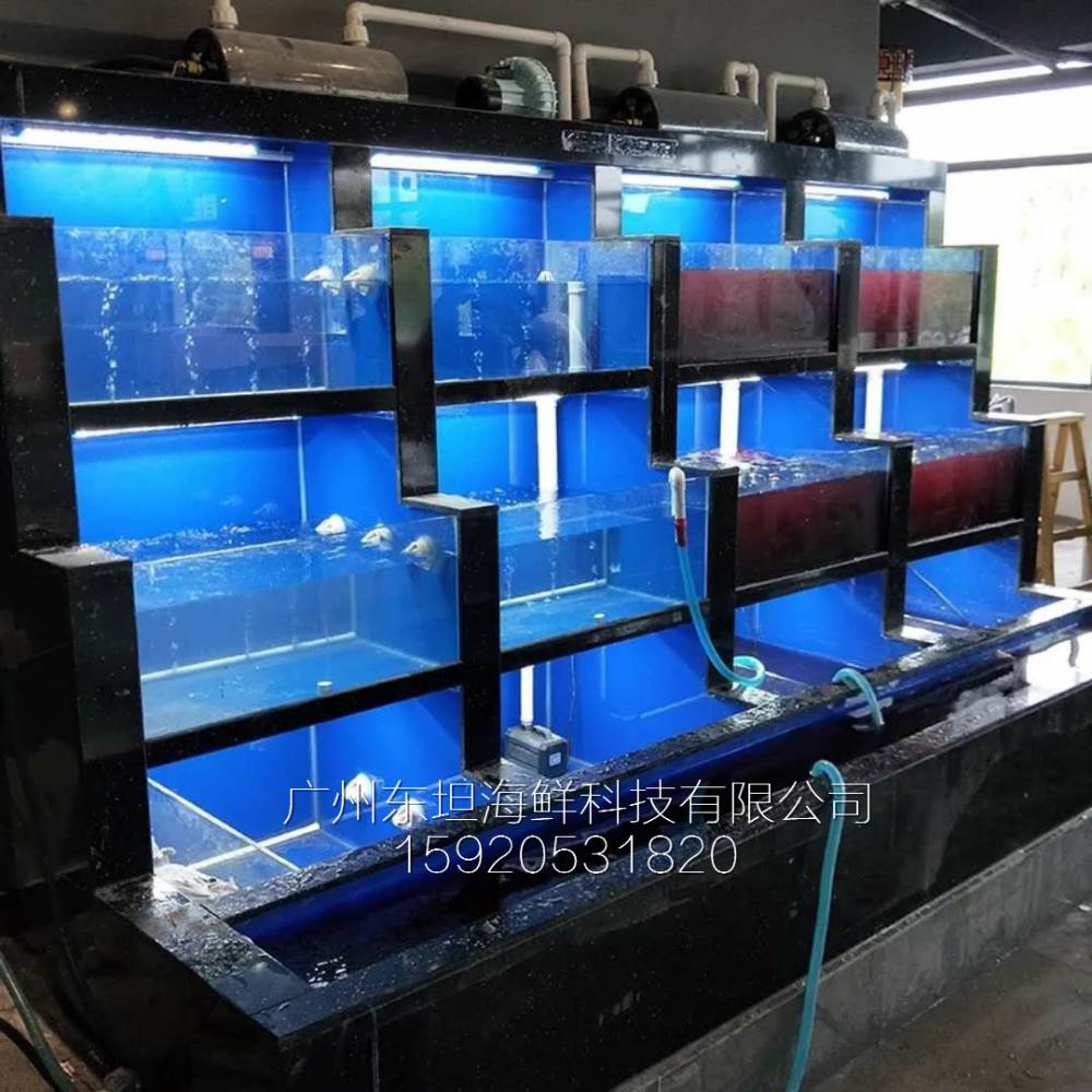 白云永平海鲜鱼池制作费用-海鲜塑料池箱-广州梯形海鲜池定做