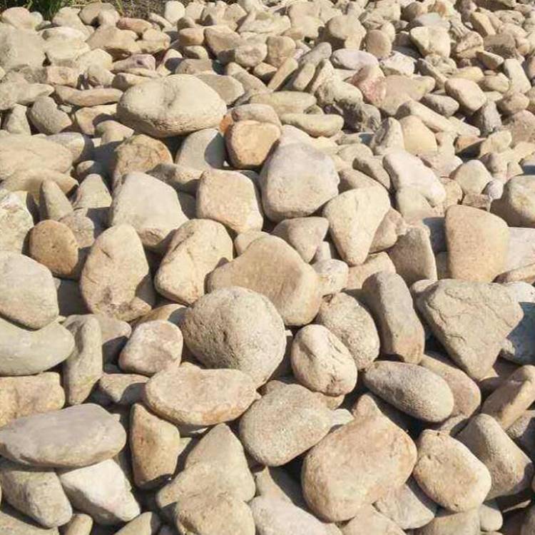 天然鹅卵石景观石 滤水铺路铺河底鹅软石 多规格小石头