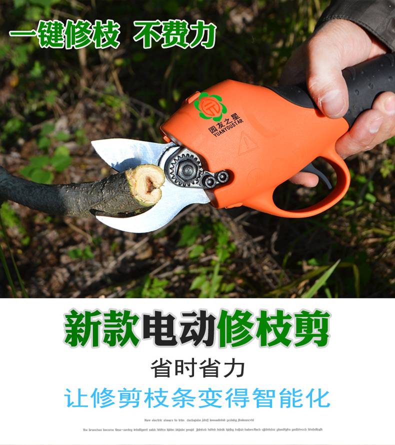 五金,工具 电动工具 电剪刀 园林果树修枝剪电动果树剪刀充电式园林