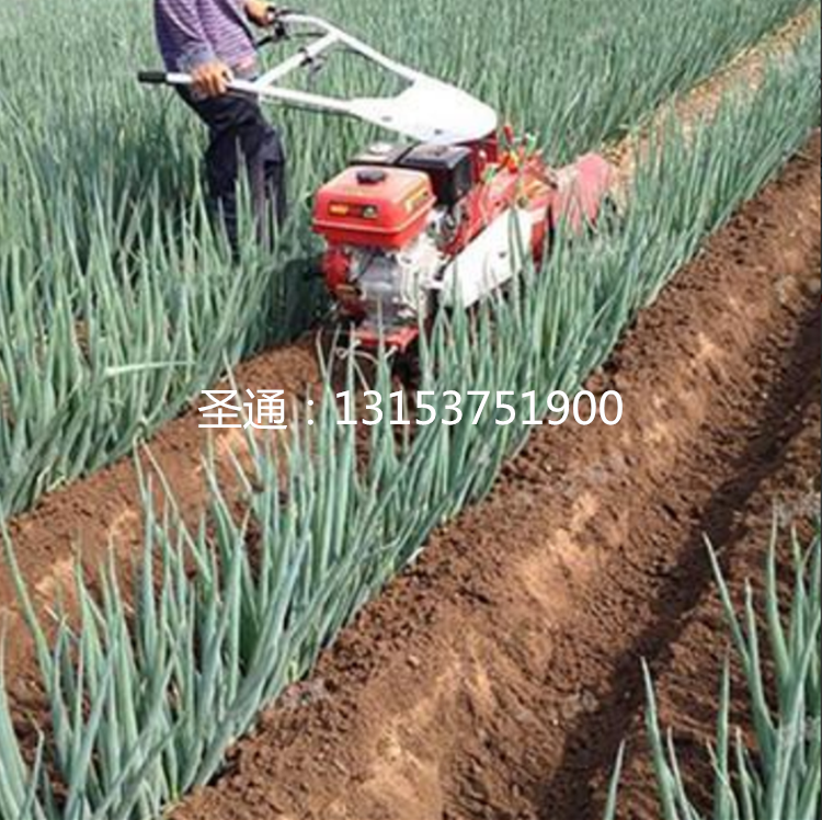 大葱大姜开沟培土机 种植施肥开沟机 大棚开沟起垄机