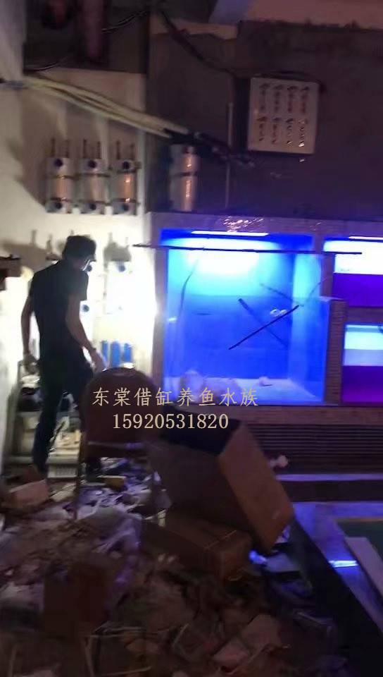 佛山金沙洲海鲜鱼池制冷设备，哪里定做不锈钢海鲜池