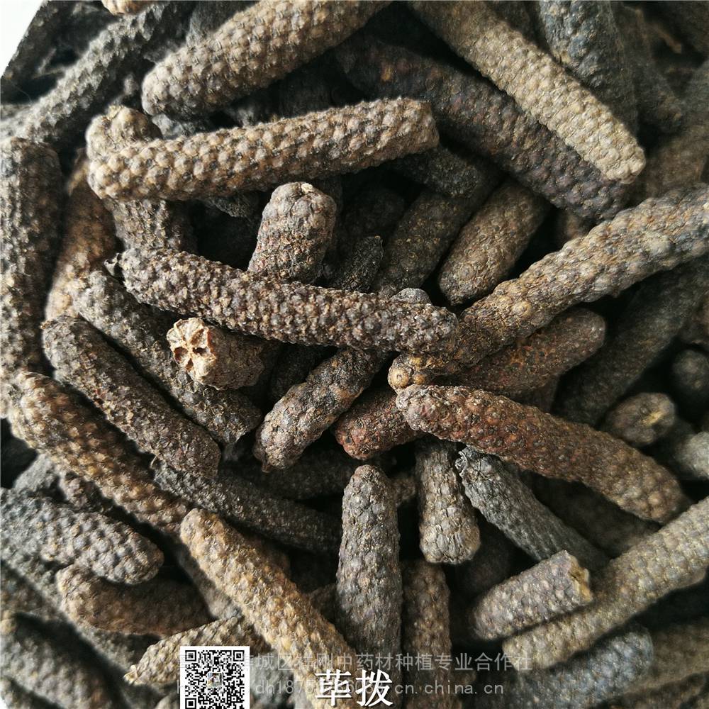 荜茇的功效与作用-当年货蛤蒌价格