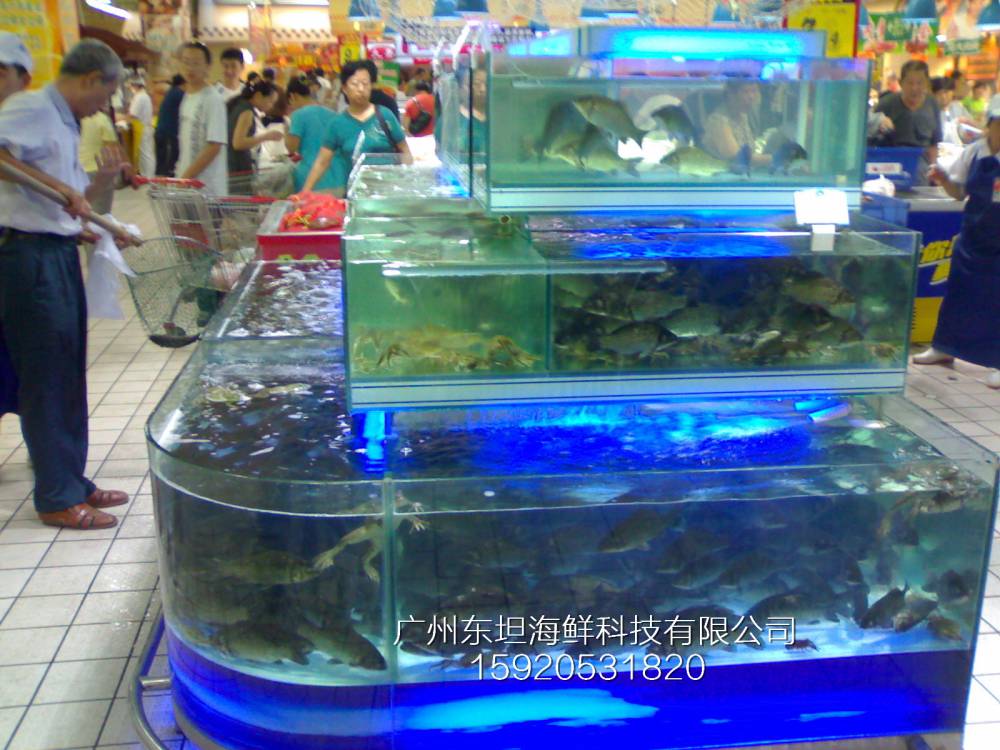 广州西村海鲜鱼池制冷设备-海鲜池配置-广州土建海鲜鱼池做防水
