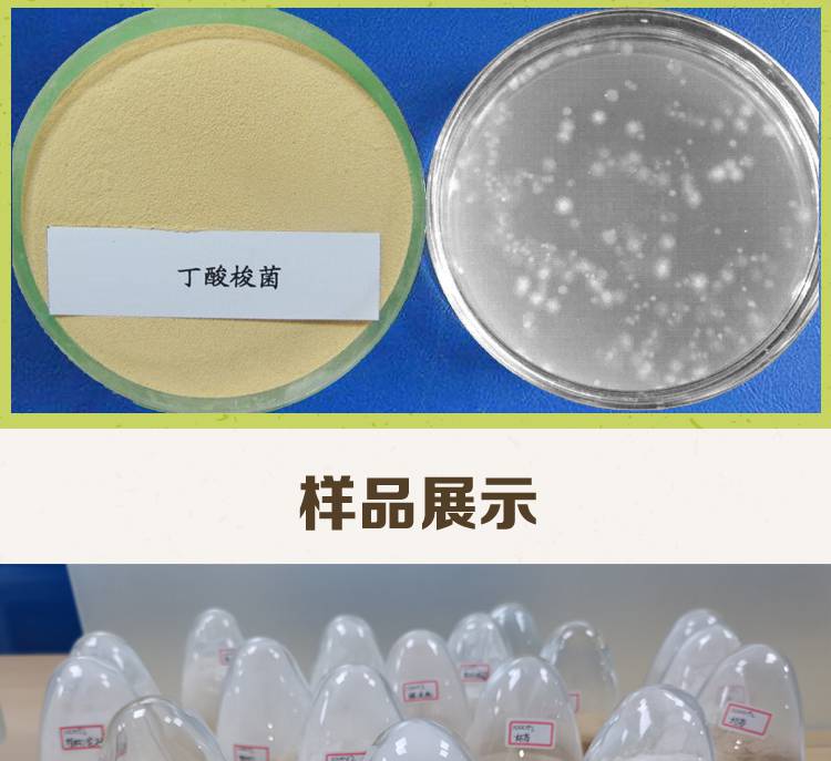 益昊生物 20亿丁酸梭菌饲料添加水产养殖调节肠道 厂家直销量大优惠