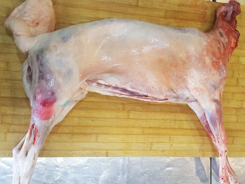 羊肉 羊羔子 宁夏羊肉 盐池滩羊 烤全羊 生鲜整羊羔子 白条羊羔批发