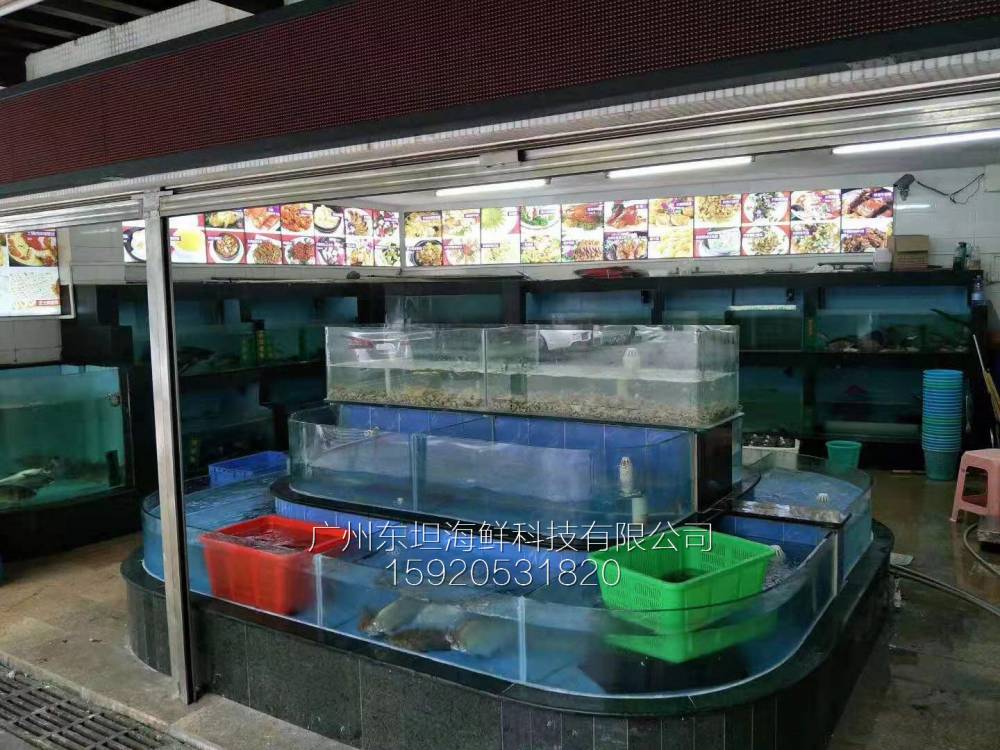 广州猎德海鲜鱼池尺寸-海鲜池摆放-广州餐厅海鲜观赏鱼池