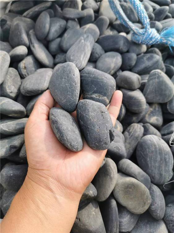 黑色鹅卵石产地沧州普通抛光鹅卵石一吨