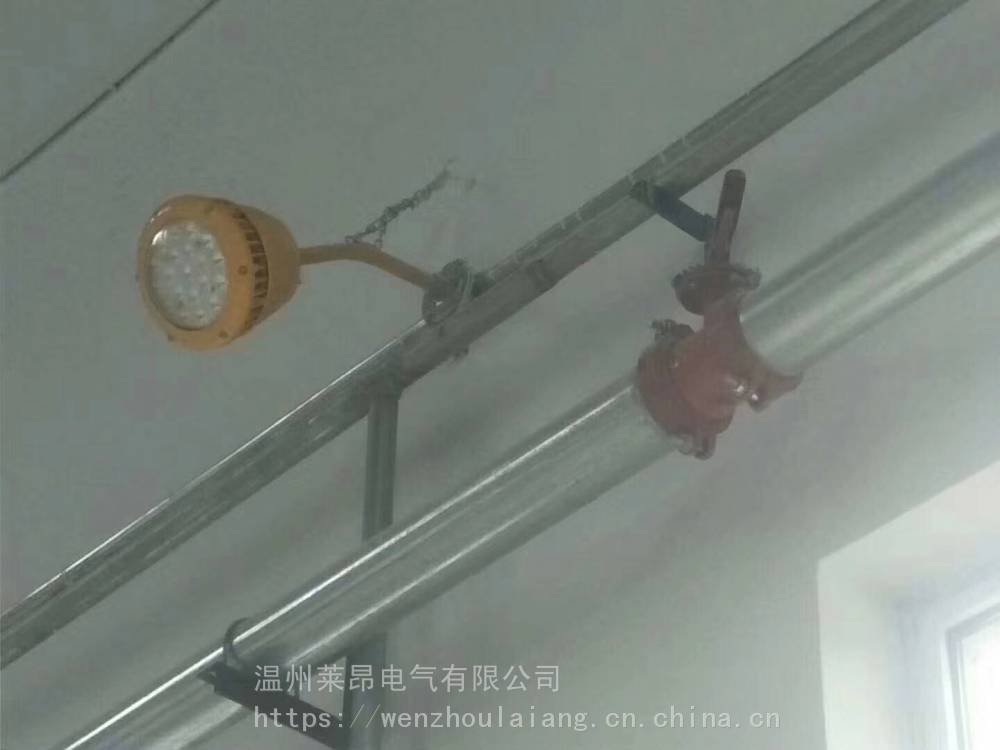 首页 照明 专门用途灯具 其他专门用途灯具 led防爆灯led防爆应急灯