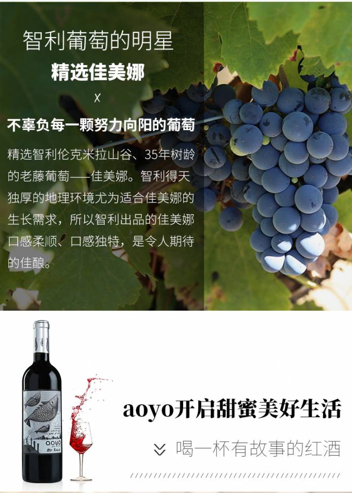 aoyo傲鱼红酒智利原瓶进口红酒劳尔先生精酿级佳美娜半干原装红葡萄酒